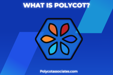 What is Polycot