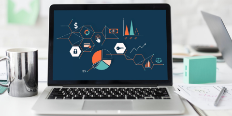 Drupal 9 Software Update